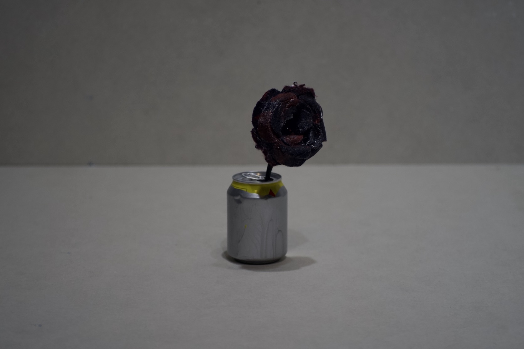 bb4af5f1-7700-424c-af66-6c45236c80f8_1_201_a